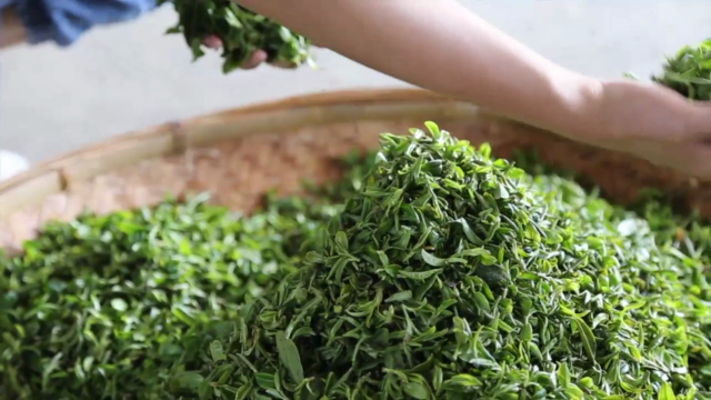 #4 ITA Certified Tea Courses - Tea Blending and Wellness – Screenshot 1
