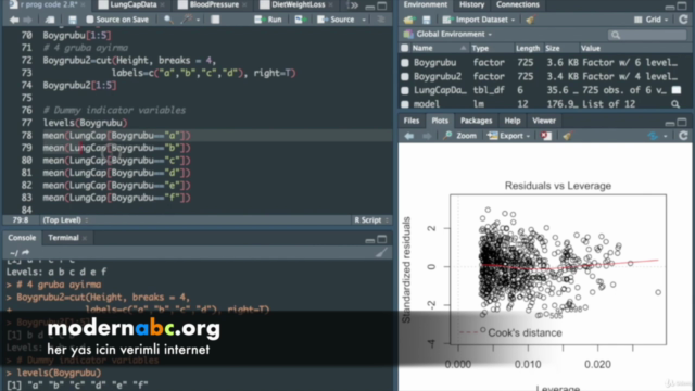Veri Madenciliği Bilimi Analizi ve R Programlama – Screenshot 4