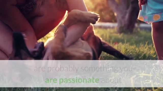 Learn How To Start A Dog Walking Business – Screenshot 2