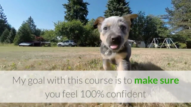 Learn How To Start A Dog Walking Business – Screenshot 3