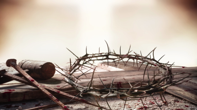 Bulletproof Catholic.  A Guide to Catholicism – Screenshot 3