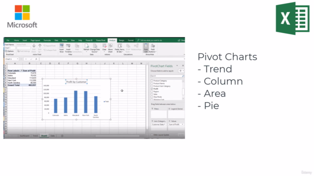 Excel Interactive Dashboards and Data Analysis – Screenshot 4