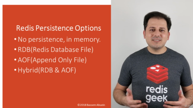 Learn Redis And Use Jedis With Spring Data Redis – Screenshot 3