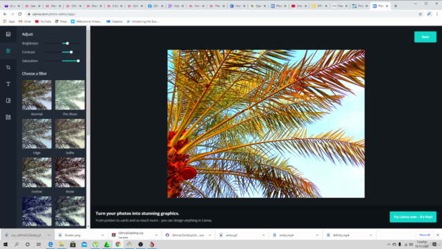 How to use Pixrl, canvas and Image Photo Editor for beginner – Screenshot 3
