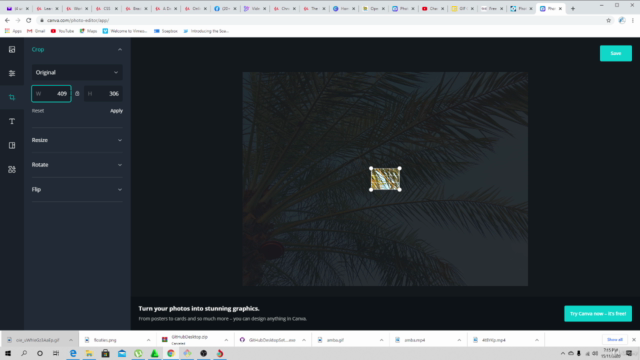 How to use Pixrl, canvas and Image Photo Editor for beginner – Screenshot 4
