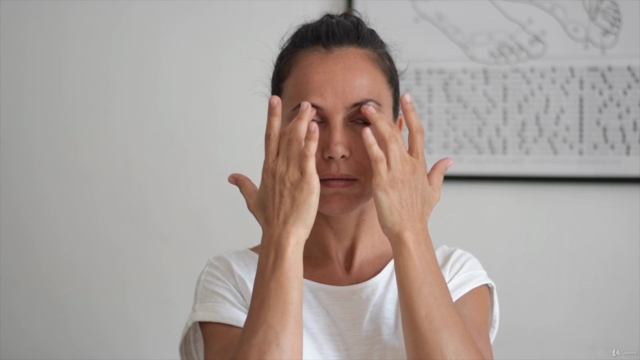 Reflexology Head to Toe: Tapping the Fountain of Youth – Screenshot 4