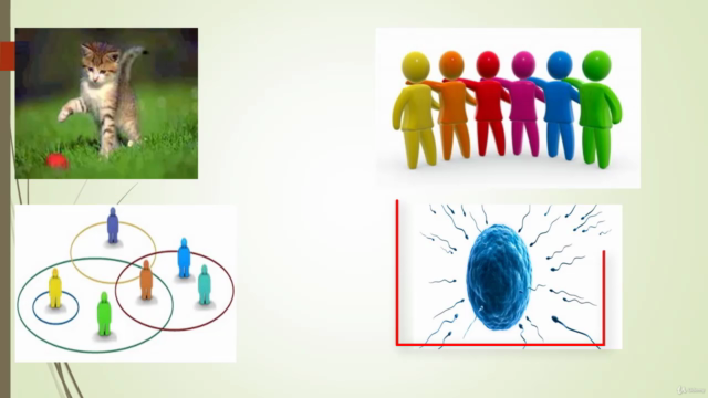 Introducción a la Biología: Fundamentos y Ecología – Screenshot 1