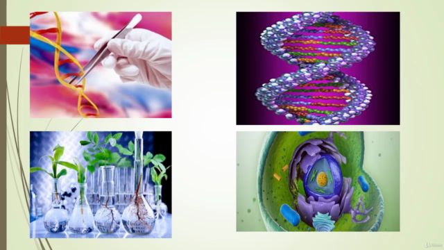 Introducción a la Biología: Fundamentos y Ecología – Screenshot 4