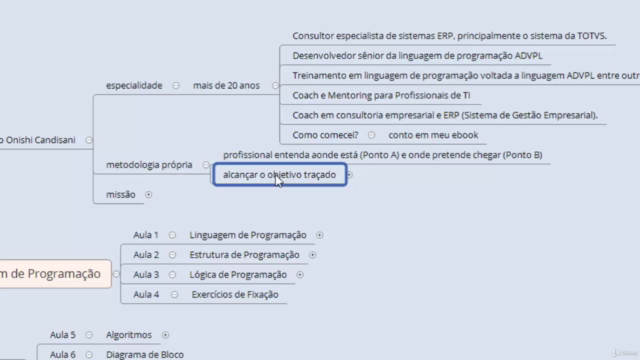 Lógica de Programação em ADVPL 1.0 – Screenshot 4