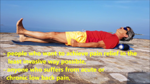 Basic Exercise Program for Low Back Pain Relief – Screenshot 4