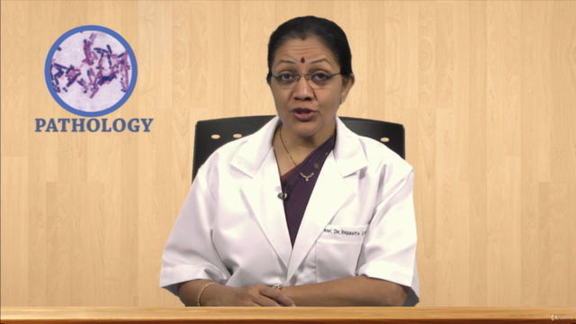 Cardiovascular Pathology – Screenshot 3