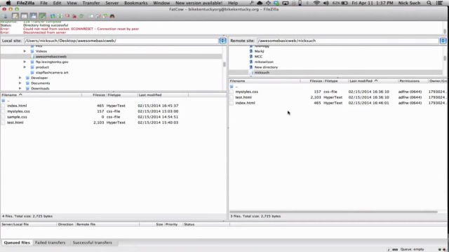 Develop and Launch Your First Website in Just One Day! – Screenshot 4