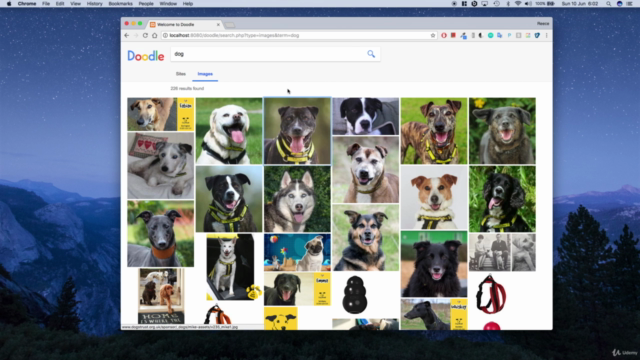 Make a Google search engine clone: JavaScript PHP and MySQL – Screenshot 4