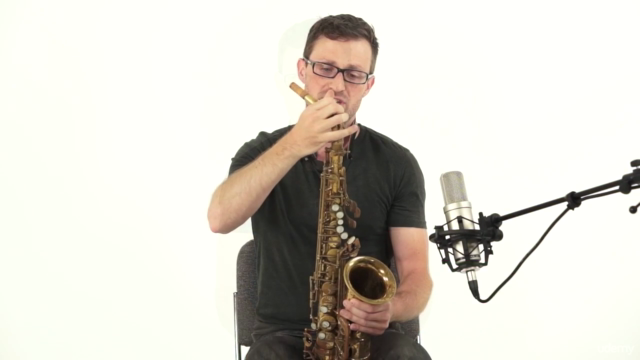 Learn to Play Saxophone: Beginner to Pro in Under Four Hours – Screenshot 1