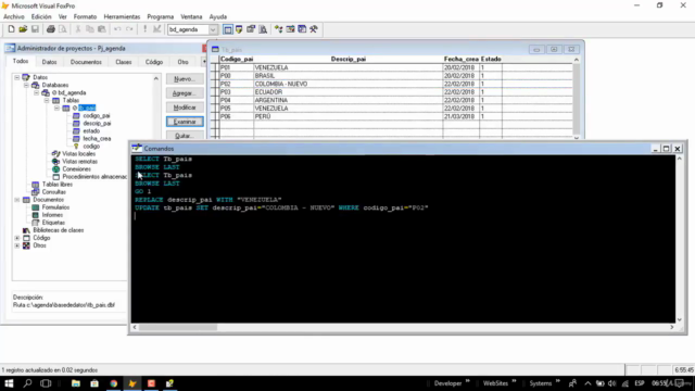 Entrenamiento Visual FoxPro 9 - Nivel Básico – Screenshot 2