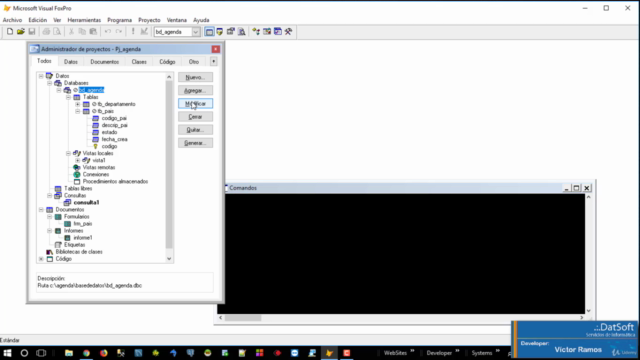 Entrenamiento Visual FoxPro 9 - Nivel Intermedio – Screenshot 3