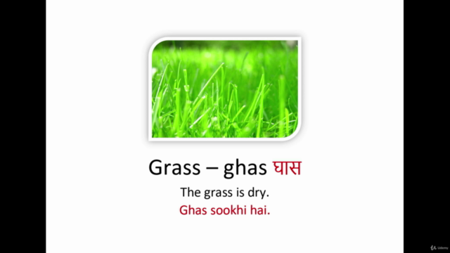 All-in-One Hindi: Grammar, Vocabulary & Conversation Skills – Screenshot 3