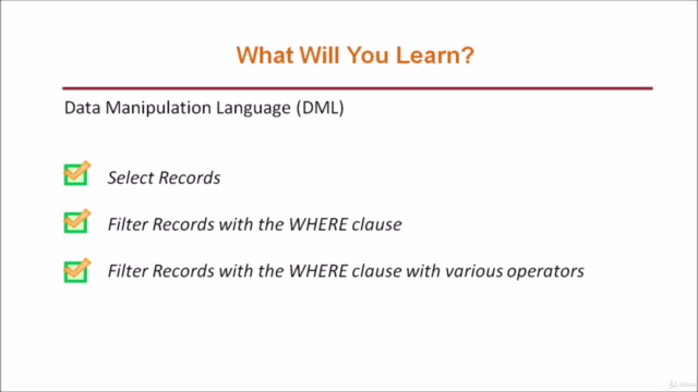 Microsoft SQL Server For Beginners – Screenshot 4