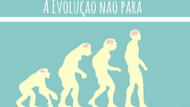 Primeiros Passos no Python para Ciência de Dados/IA – Screenshot 2