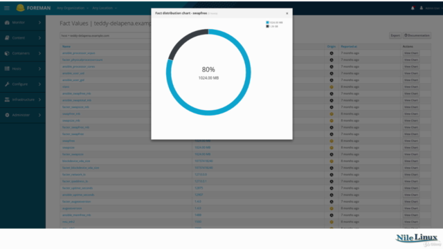 Foreman with Puppet for Linux / Windows for DevOps – Screenshot 4