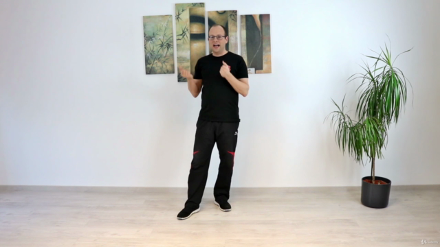 Wing Chun - Das komplette erste Schülerprogramm – Screenshot 2