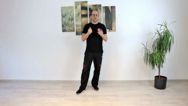 Wing Chun - Das komplette erste Schülerprogramm – Screenshot 3