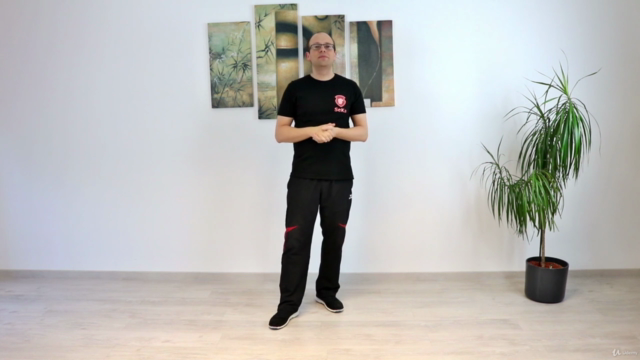 Wing Chun - Das komplette zweite Schülerprogramm – Screenshot 2