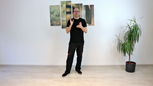 Wing Chun - Das komplette dritte Schülerprogramm – Screenshot 1