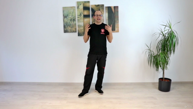 Wing Chun - Das komplette dritte Schülerprogramm – Screenshot 3