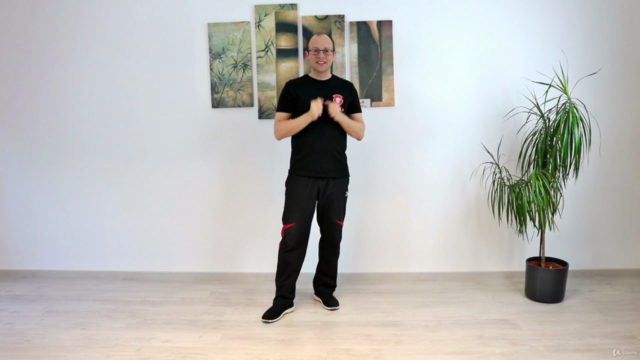 Wing Chun - Das komplette vierte Schülerprogramm – Screenshot 1