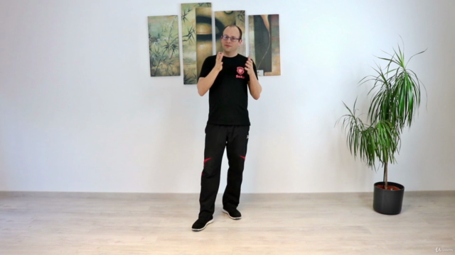 Wing Chun - Das komplette vierte Schülerprogramm – Screenshot 2