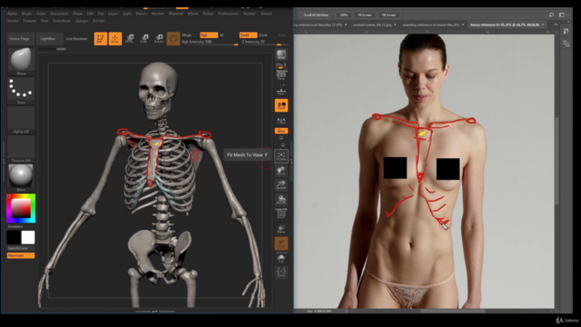 Human Anatomy for Artists using Zbrush and Photoshop – Screenshot 2