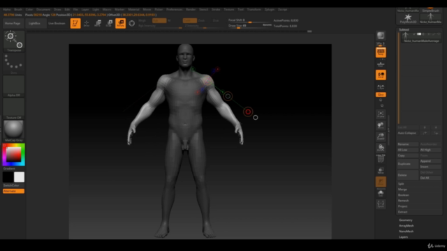 Human Anatomy for Artists using Zbrush and Photoshop – Screenshot 3