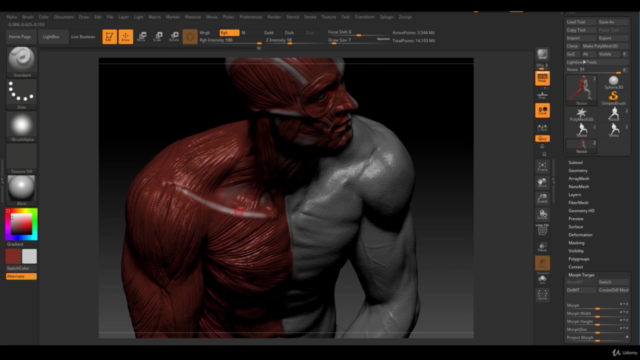 Human Anatomy for Artists using Zbrush and Photoshop – Screenshot 4