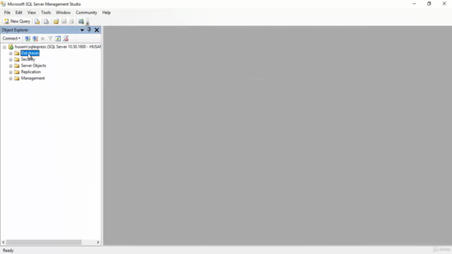 C# Remoting : Build Client / Server Database Applications – Screenshot 1
