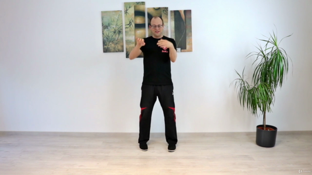 Wing Chun - Das komplette fünfte Schülerprogramm – Screenshot 1