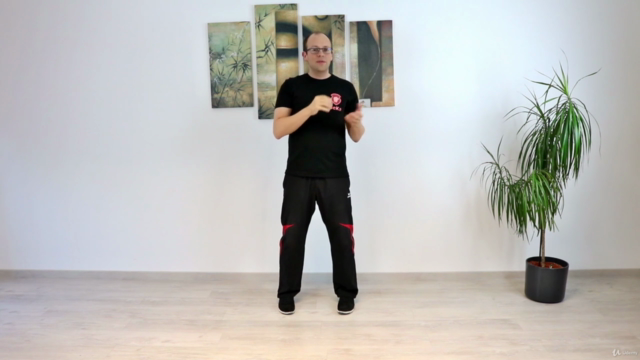 Wing Chun - Das komplette fünfte Schülerprogramm – Screenshot 2