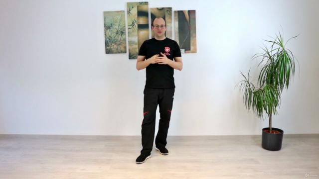 Wing Chun - Das komplette fünfte Schülerprogramm – Screenshot 3