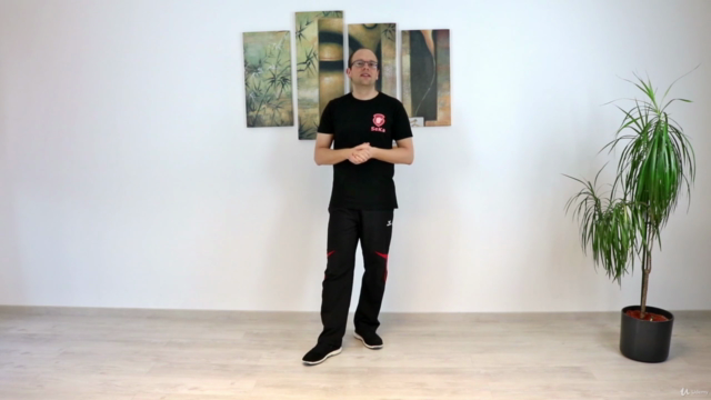 Wing Chun - Der sechste Schülergrad – Screenshot 3