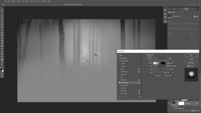 Photoshop Compositing :  Create a Silhouette Night Scene - Screenshot_03
