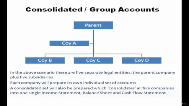 Intro to Commercial Credit Analysis, Credit Risk and Lending – Screenshot 2