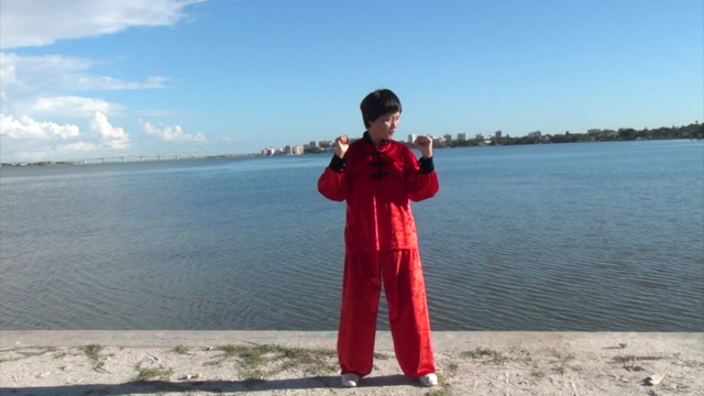 Therapeutic Qi Gong – Screenshot 1
