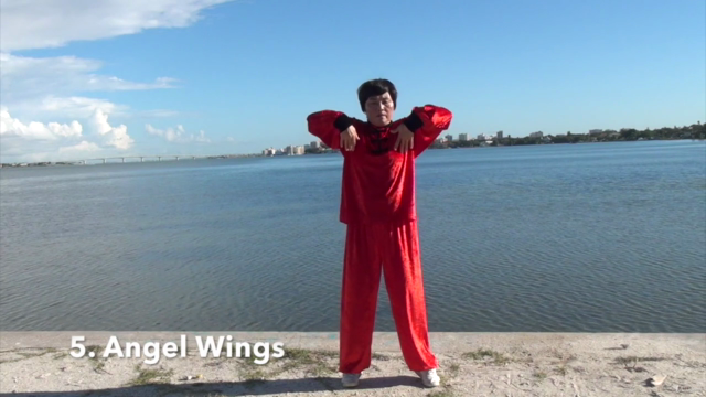 Therapeutic Qi Gong – Screenshot 2