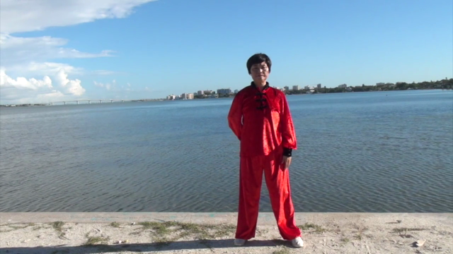 Therapeutic Qi Gong – Screenshot 3