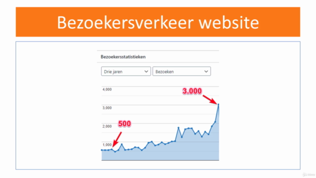 Scoren met SEO - Boost je traffic en omzet – Screenshot 2