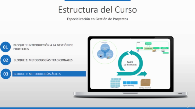 Especialización en Gestión de Proyectos [2025] – Screenshot 4