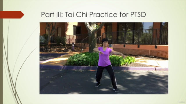 Natural Healing for PTSD or Emotional Imbalances – Screenshot 3