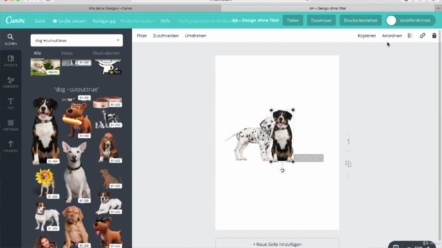 Canva - Grafikdesign für Jedermann – Screenshot 4