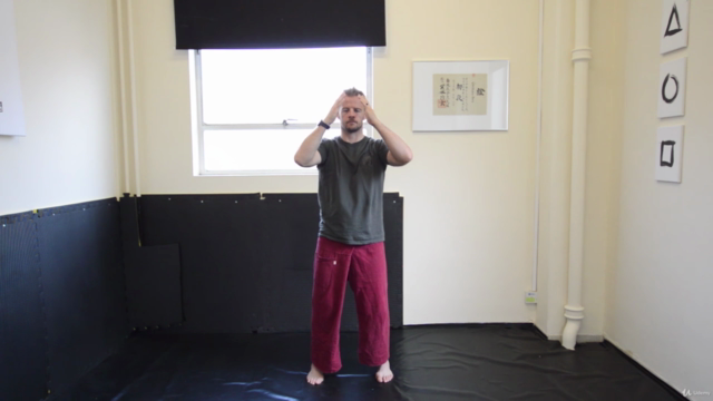 Qi Gong for Busy People, Entrepreneurs & Desk Bound Workers - Screenshot_01