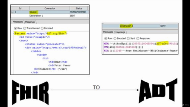 Introduction to FHIR – Screenshot 2